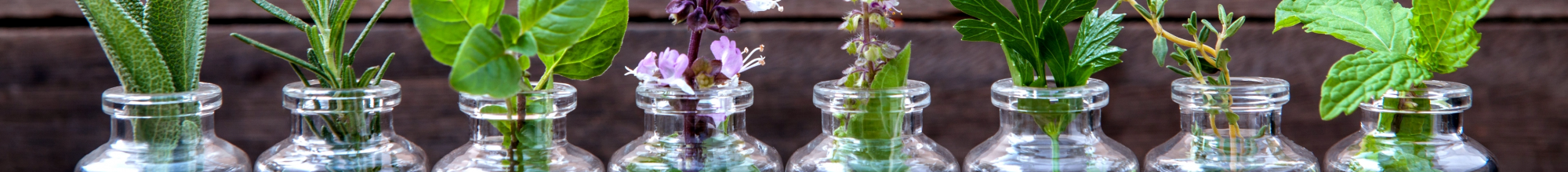 À propos de Primrose